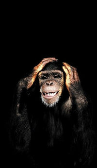 Abstract Monkey Wall Art