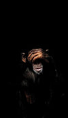 Abstract Monkey Wall Art