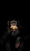 Abstract Monkey Wall Art